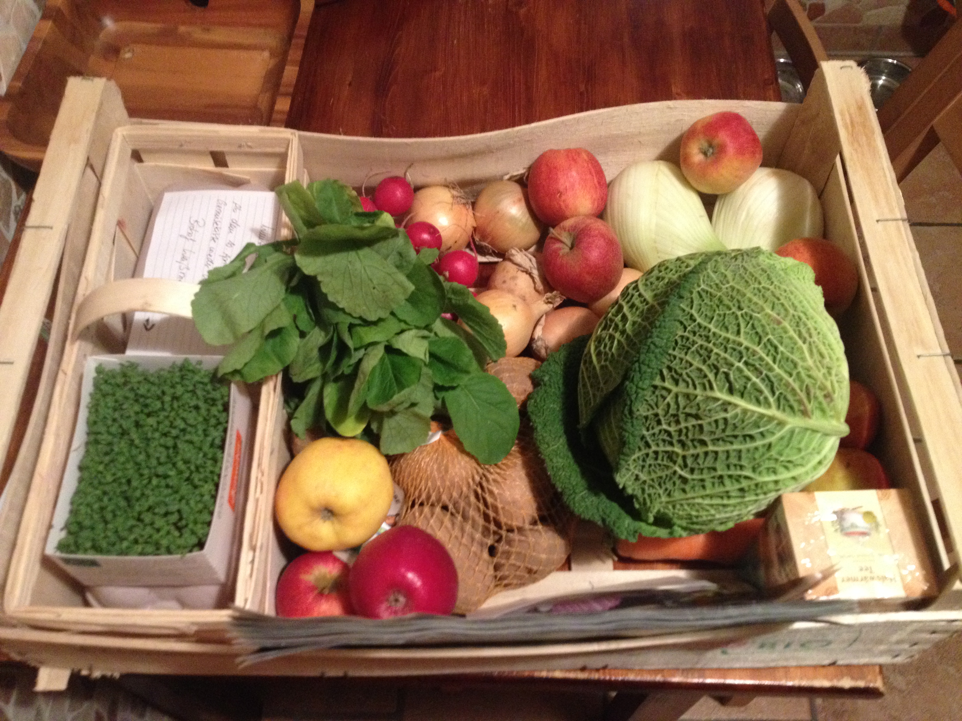 Bio – Gemüsekorb / Bio – vegetables basket